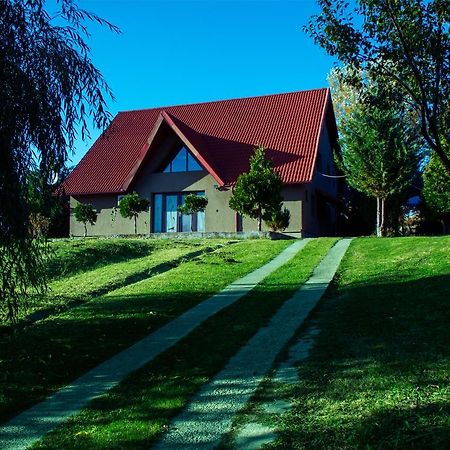 Guesthouse Vila Melisa Rasvadu de Sus Екстер'єр фото