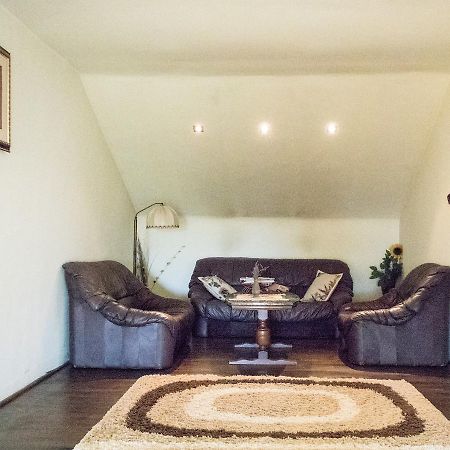 Guesthouse Vila Melisa Rasvadu de Sus Екстер'єр фото