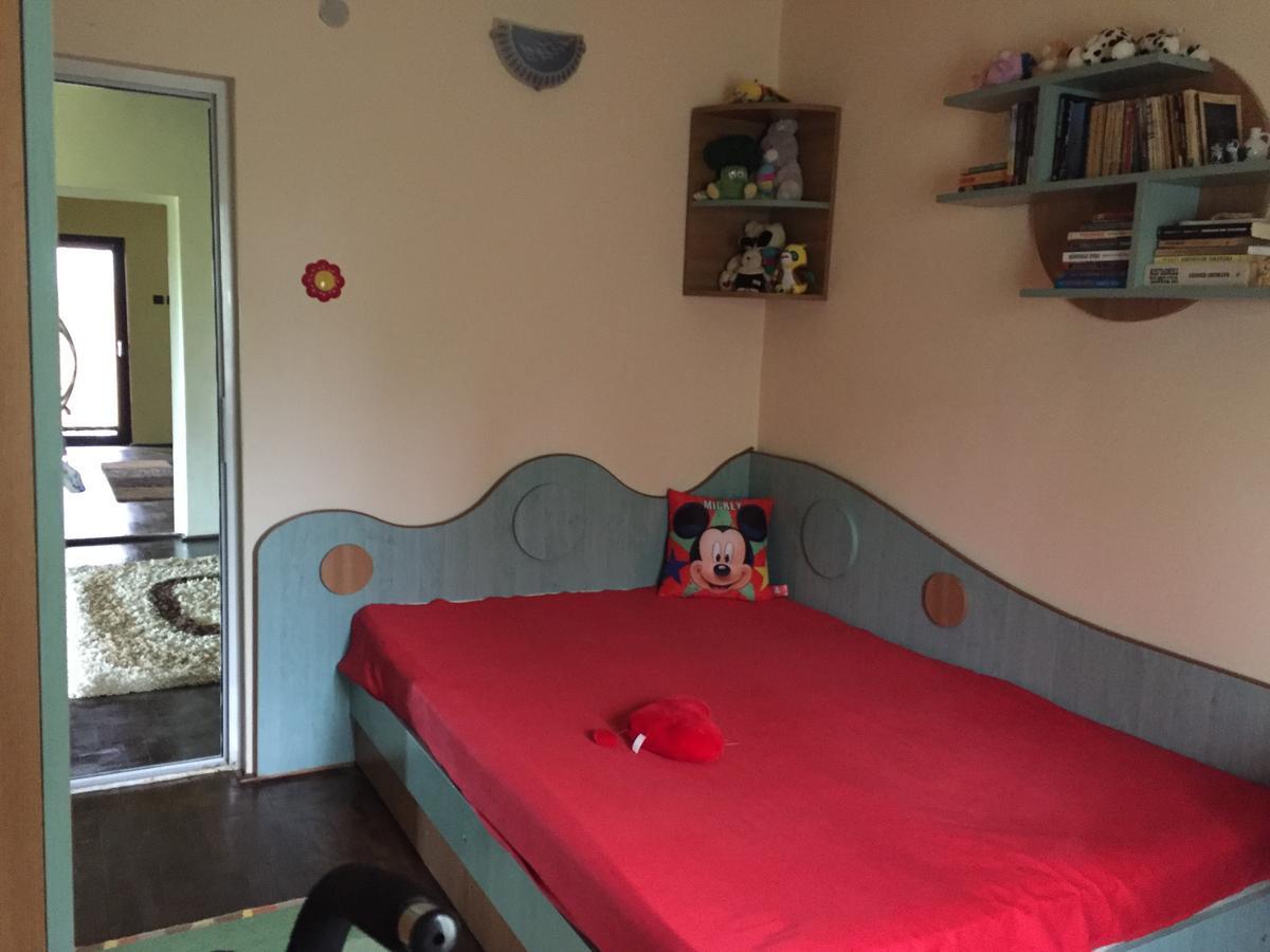 Guesthouse Vila Melisa Rasvadu de Sus Екстер'єр фото