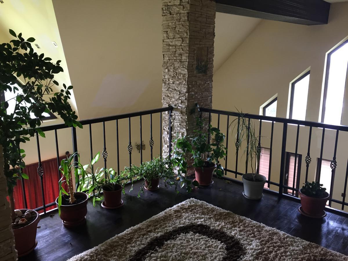 Guesthouse Vila Melisa Rasvadu de Sus Екстер'єр фото