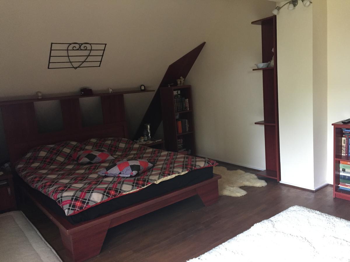 Guesthouse Vila Melisa Rasvadu de Sus Екстер'єр фото