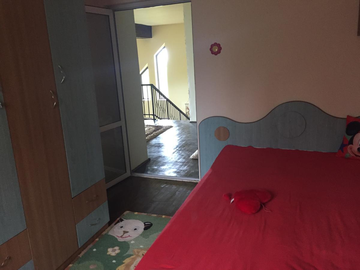 Guesthouse Vila Melisa Rasvadu de Sus Екстер'єр фото