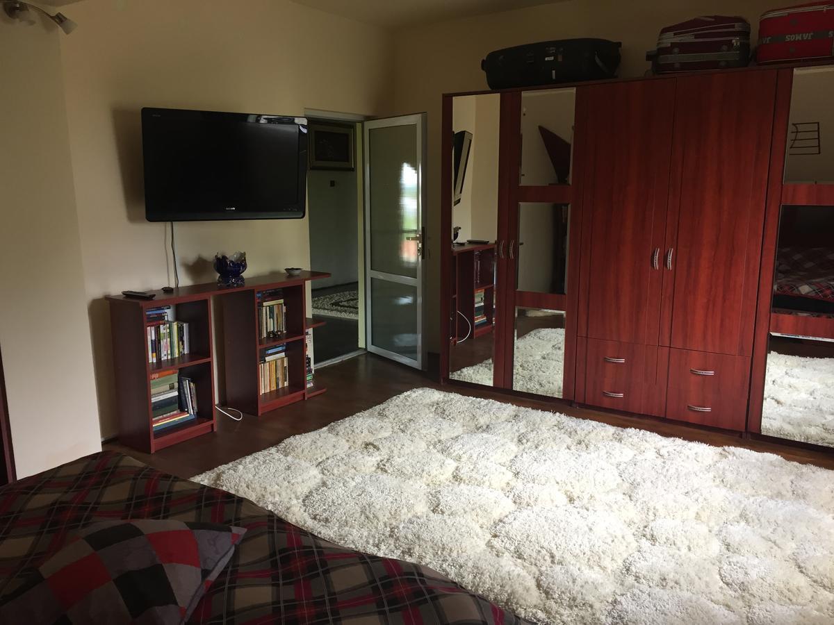 Guesthouse Vila Melisa Rasvadu de Sus Екстер'єр фото