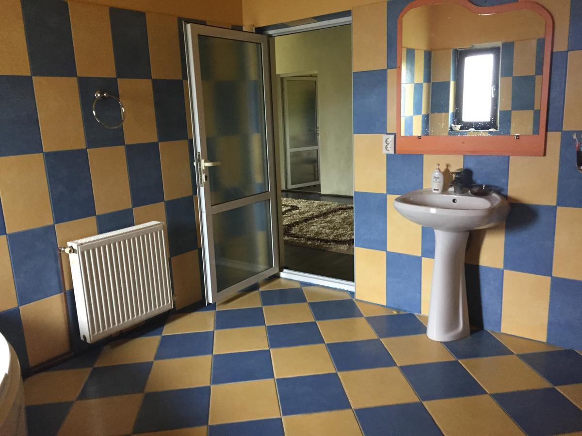 Guesthouse Vila Melisa Rasvadu de Sus Екстер'єр фото