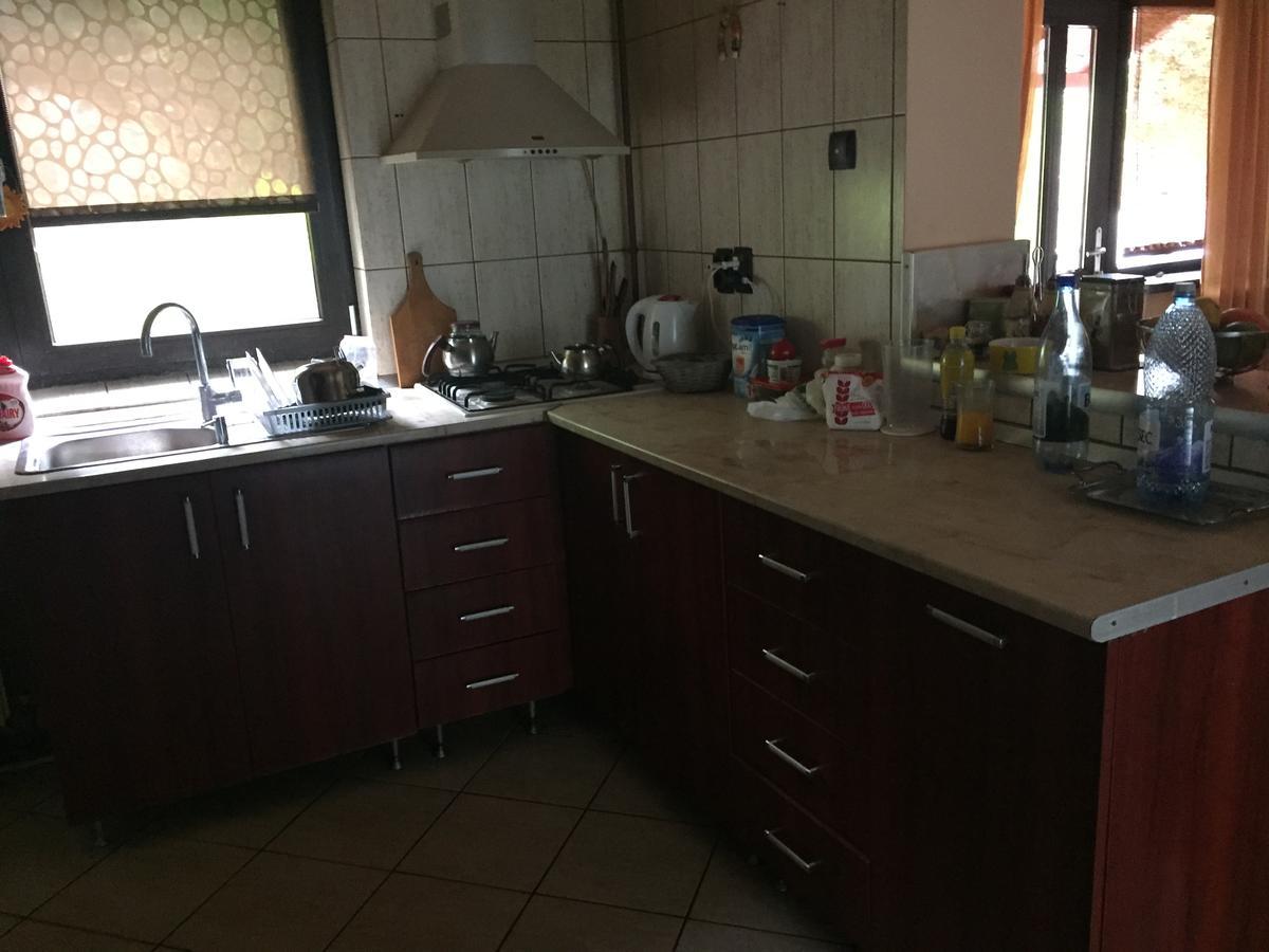 Guesthouse Vila Melisa Rasvadu de Sus Екстер'єр фото