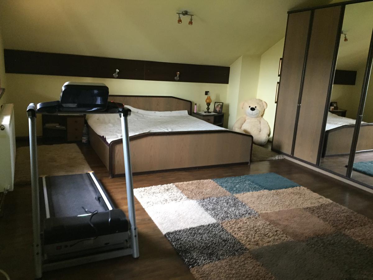 Guesthouse Vila Melisa Rasvadu de Sus Екстер'єр фото