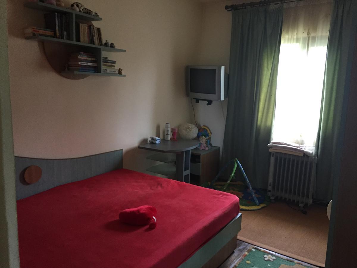 Guesthouse Vila Melisa Rasvadu de Sus Екстер'єр фото