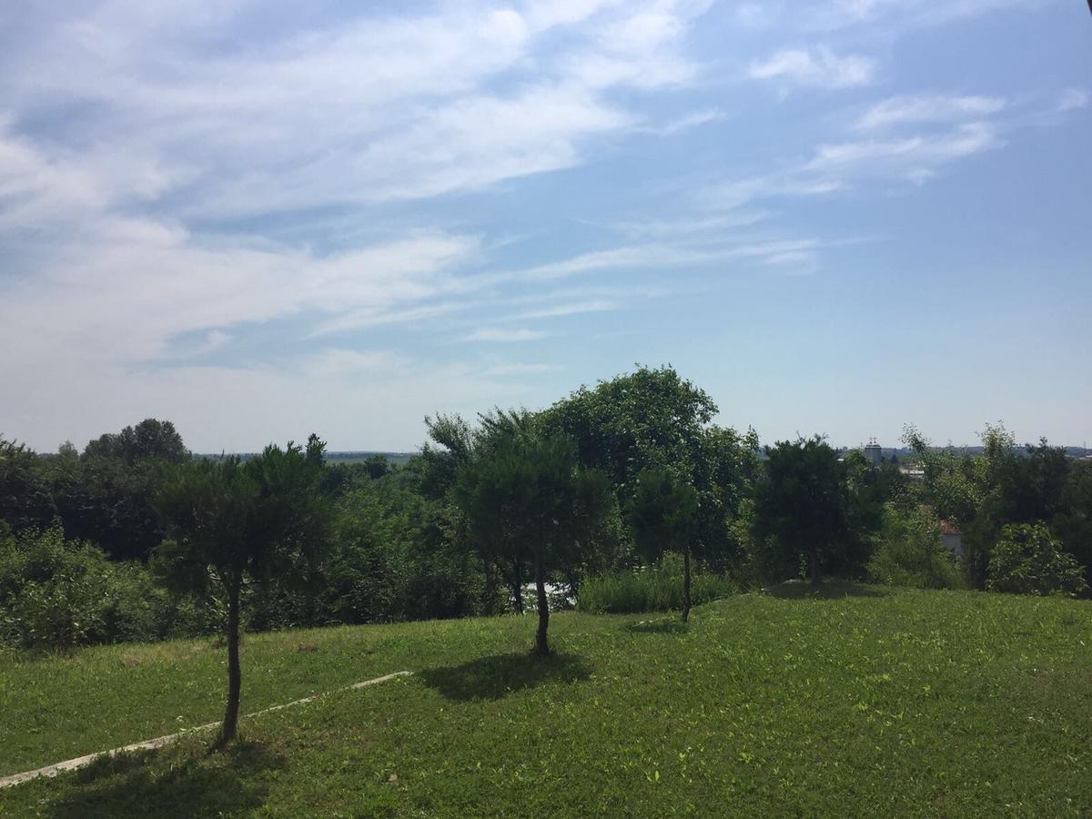Guesthouse Vila Melisa Rasvadu de Sus Екстер'єр фото