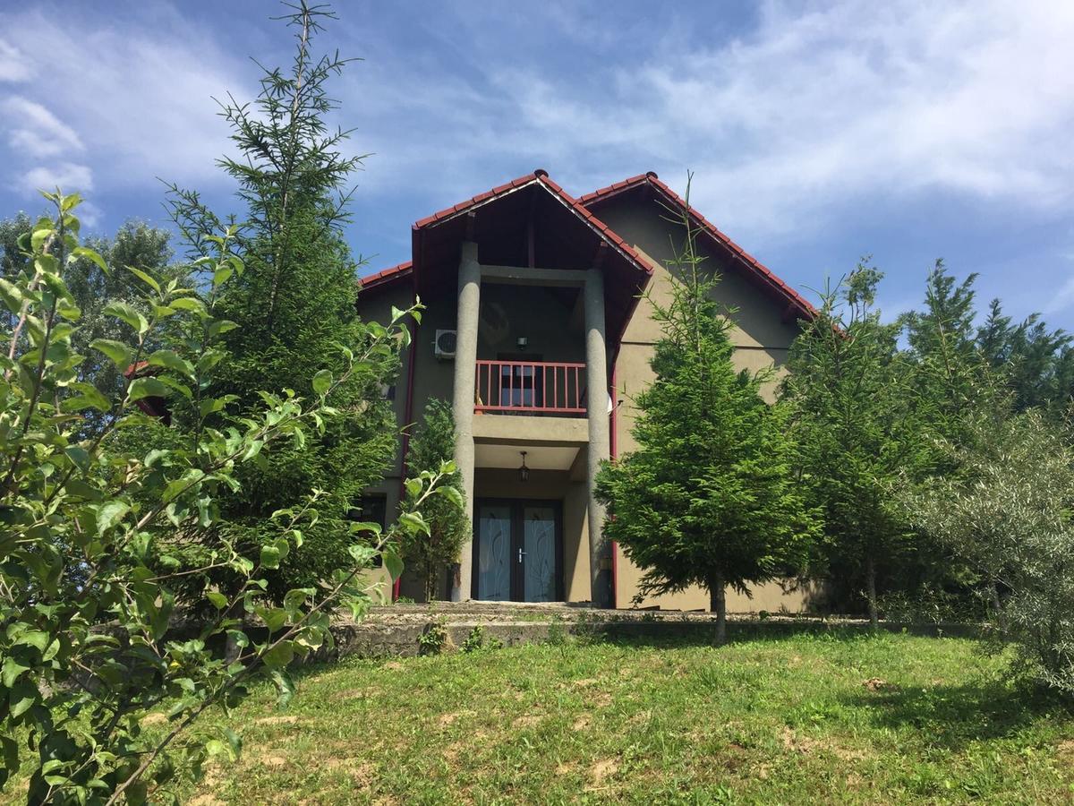 Guesthouse Vila Melisa Rasvadu de Sus Екстер'єр фото