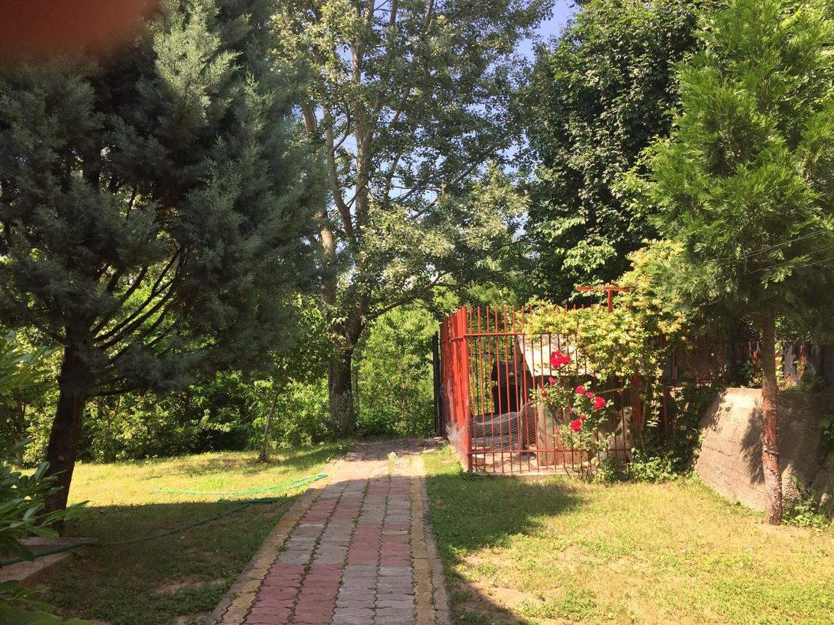 Guesthouse Vila Melisa Rasvadu de Sus Екстер'єр фото