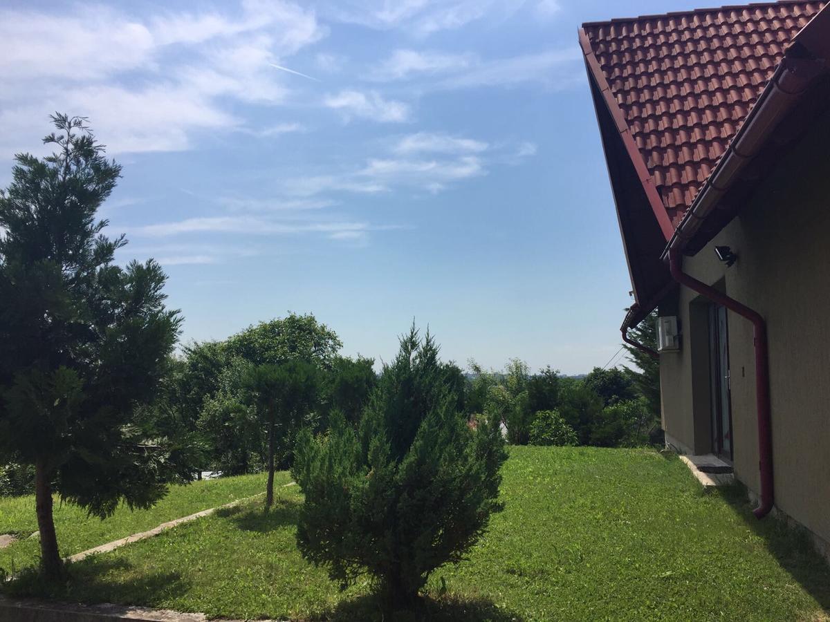 Guesthouse Vila Melisa Rasvadu de Sus Екстер'єр фото