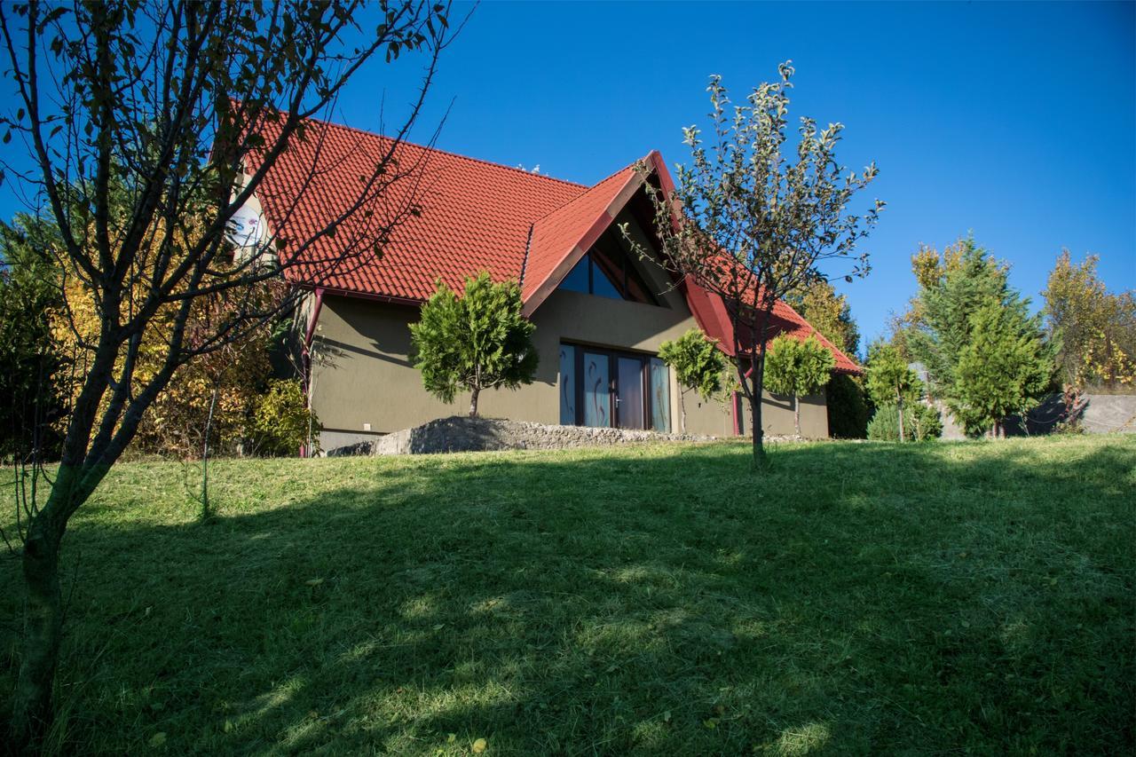 Guesthouse Vila Melisa Rasvadu de Sus Екстер'єр фото