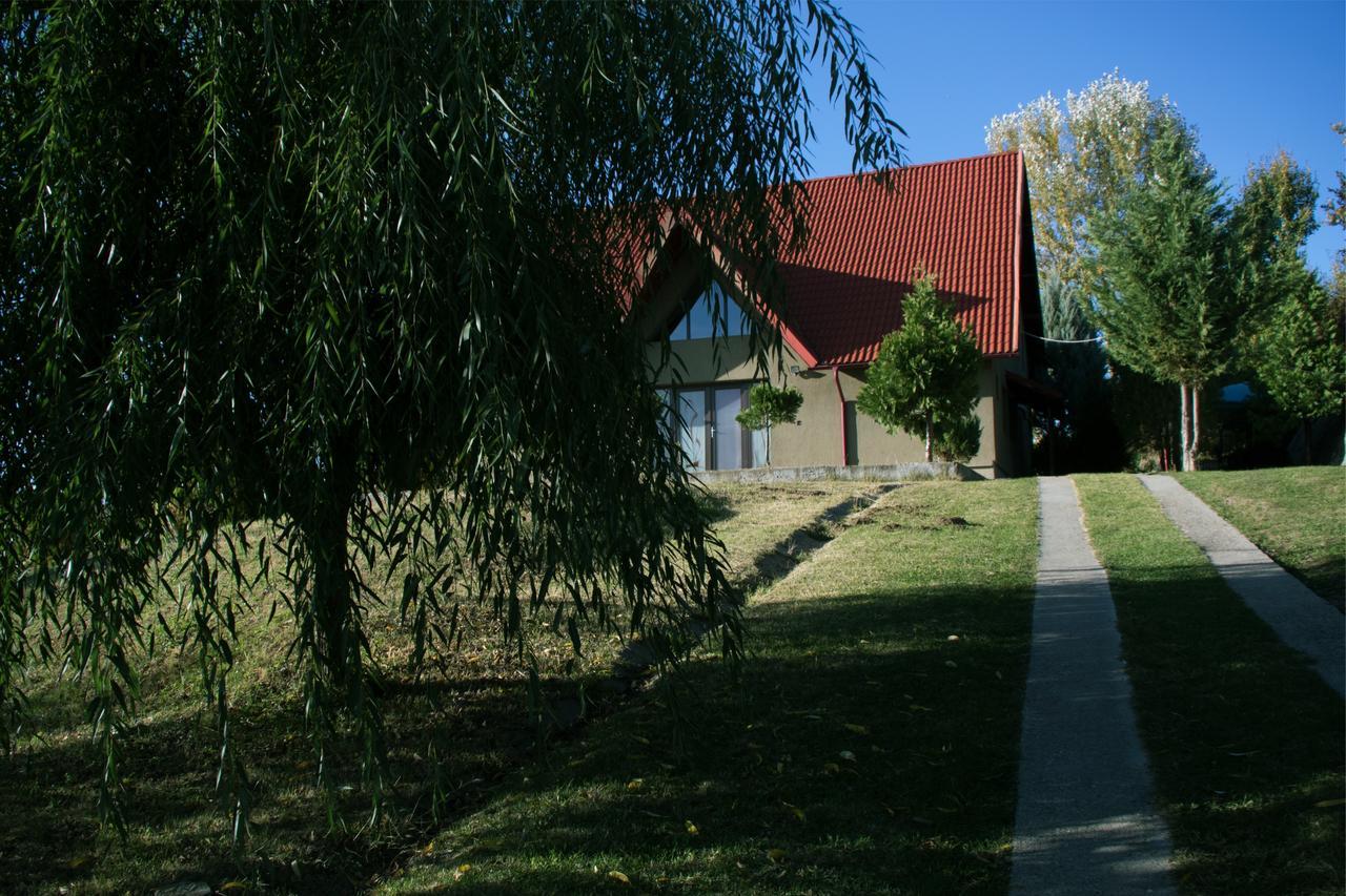 Guesthouse Vila Melisa Rasvadu de Sus Екстер'єр фото