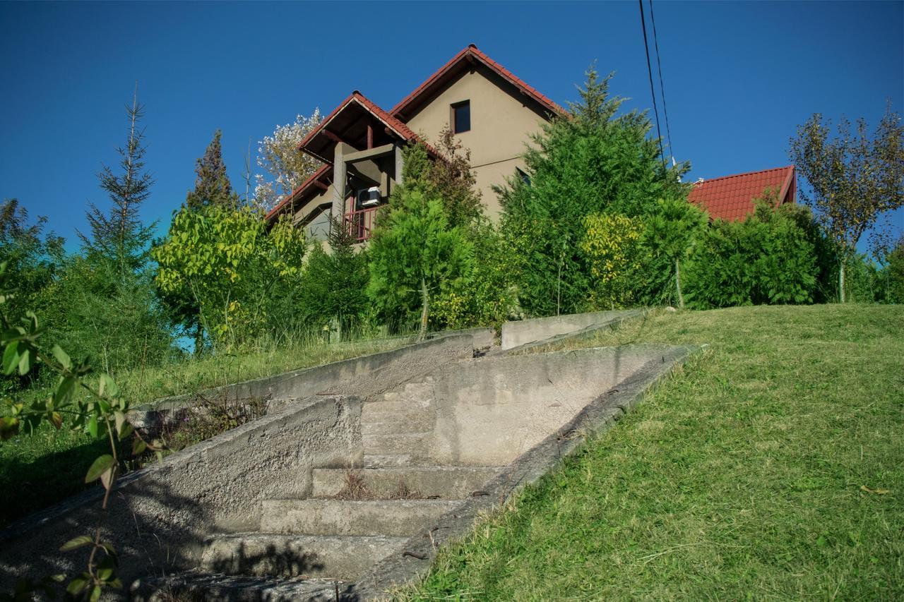 Guesthouse Vila Melisa Rasvadu de Sus Екстер'єр фото
