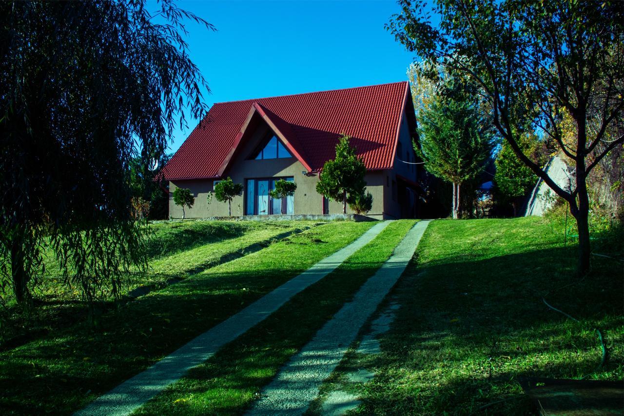 Guesthouse Vila Melisa Rasvadu de Sus Екстер'єр фото