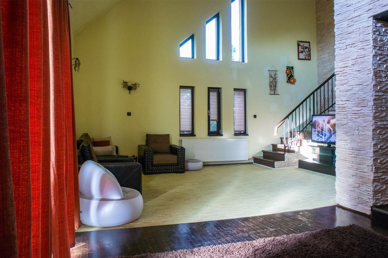Guesthouse Vila Melisa Rasvadu de Sus Екстер'єр фото
