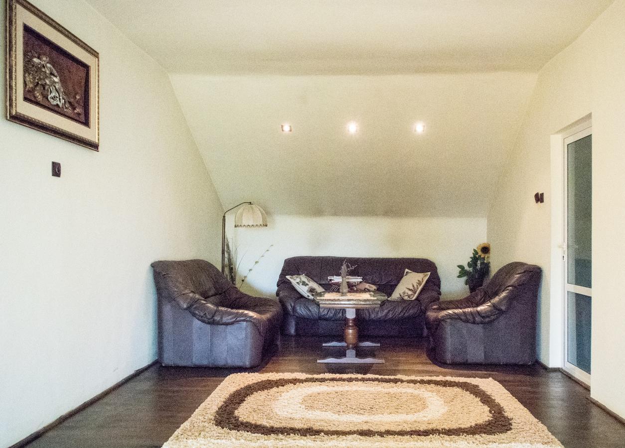 Guesthouse Vila Melisa Rasvadu de Sus Екстер'єр фото