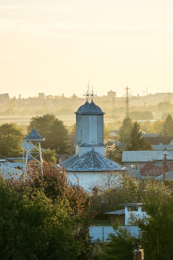 Guesthouse Vila Melisa Rasvadu de Sus Екстер'єр фото
